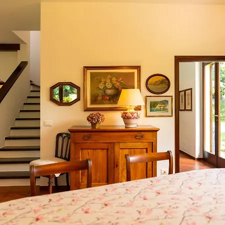 Camelia With Garden By Wonderful Italy * Bellagio