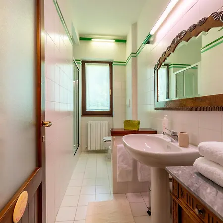 Camelia With Garden By Wonderful Italy