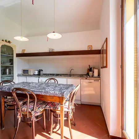 Camelia With Garden By Wonderful Italy *